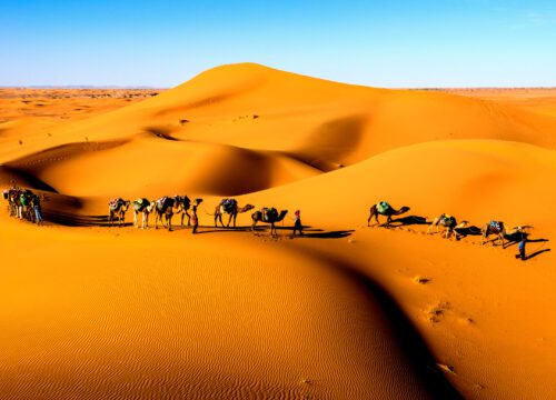 6-day Tour from Agadir To The Desert Via Ourzazate