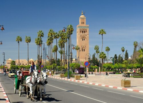 Marrakech day trip from Agadir​