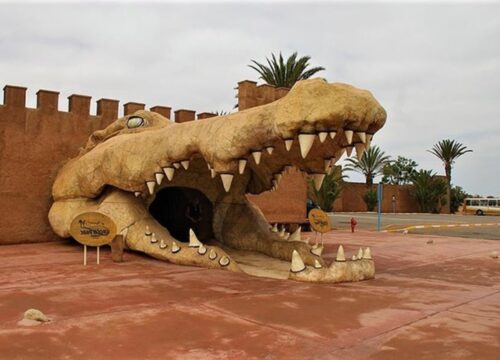 Croco parc from Agadir
