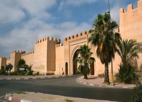 Taroudant & Tiout day tour from Agadir​